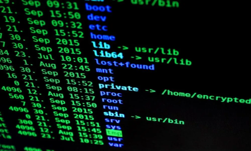 A Linux terminal listing system folders such as boot, etc, home and usr